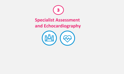 Specialist assessment  and echocardiography